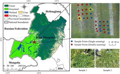 Correction of UAV LiDAR-derived grassland canopy height based on scan angle